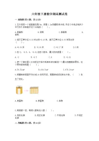 六年级下册数学期末测试卷含完整答案(各地真题)
