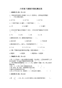 六年级下册数学期末测试卷及答案（网校专用）