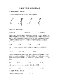 六年级下册数学期末测试卷含完整答案（考点梳理）