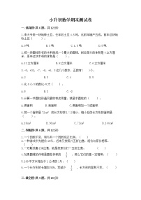 小升初数学期末测试卷【中心小学】