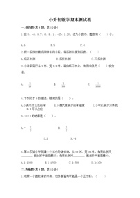 小升初数学期末测试卷带答案（黄金题型）