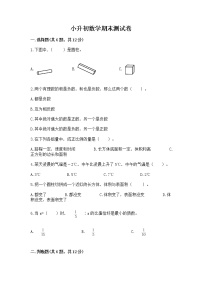 小升初数学期末测试卷（历年真题）word版