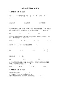 小升初数学期末测试卷（真题汇编）