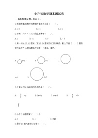 小升初数学期末测试卷含完整答案（全优）