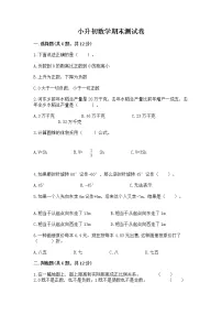 小升初数学期末测试卷含答案【满分必刷】