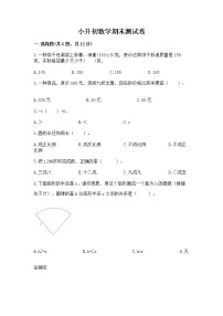 小升初数学期末测试卷附完整答案【精选题】