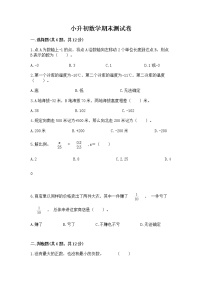 小升初数学期末测试卷含完整答案（夺冠系列）