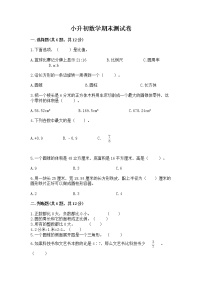 小升初数学期末测试卷含完整答案【夺冠】