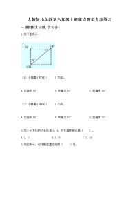 人教版小学数学六年级上册重点题型专项练习及答案