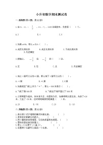 小升初数学期末测试卷含完整答案（名师系列）