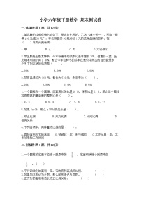 小学六年级下册数学 期末测试卷a4版可打印