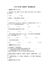 小学六年级下册数学 期末测试卷附参考答案（能力提升）