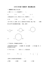 小学六年级下册数学 期末测试卷【基础题】