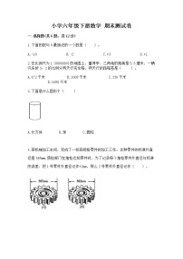 小学六年级下册数学 期末测试卷【夺冠系列】