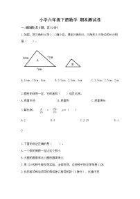 小学六年级下册数学 期末测试卷附完整答案（全优）