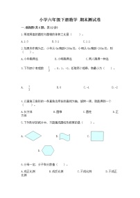 小学六年级下册数学 期末测试卷含完整答案【网校专用】