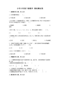 小学六年级下册数学 期末测试卷含答案【综合卷】