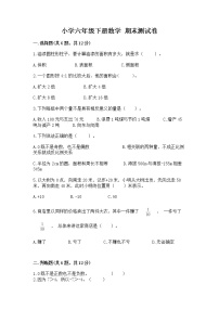 小学六年级下册数学 期末测试卷含答案【精练】