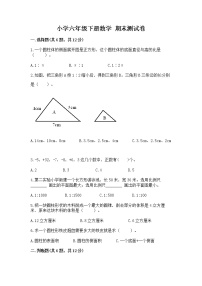 小学六年级下册数学 期末测试卷精品（各地真题）