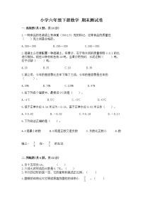 小学六年级下册数学 期末测试卷精品（易错题）