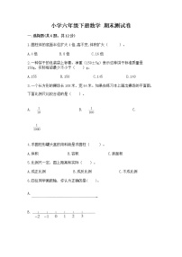 小学六年级下册数学 期末测试卷精品（达标题）