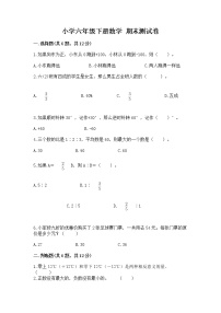 小学六年级下册数学 期末测试卷【有一套】