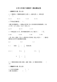 小学六年级下册数学 期末测试卷附参考答案ab卷