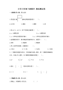 小学六年级下册数学 期末测试卷含答案（达标题）