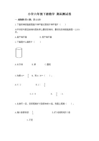 小学六年级下册数学 期末测试卷完整参考答案