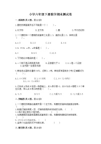小学六年级下册数学期末测试卷附参考答案（巩固）
