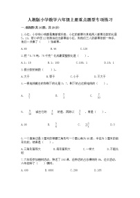 人教版小学数学六年级上册重点题型专项练习加答案