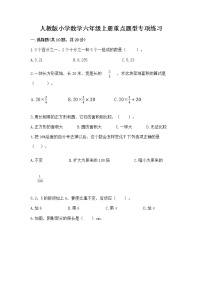 人教版小学数学六年级上册重点题型专项练习加答案