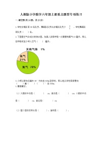 人教版小学数学六年级上册重点题型专项练习