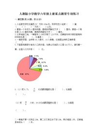 人教版小学数学六年级上册重点题型专项练习