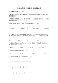 小学六年级下册数学期末测试卷及完整答案（易错题）
