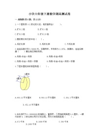 小学六年级下册数学期末测试卷含完整答案（历年真题）