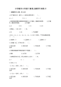 小学数学六年级下册重点题型专项练习含答案【新】
