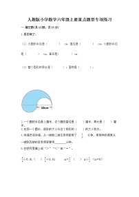 人教版小学数学六年级上册重点题型专项练习【能力提升】