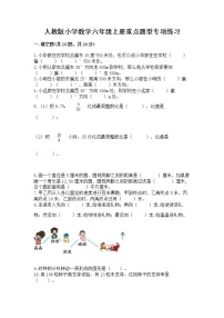 人教版小学数学六年级上册重点题型专项练习【模拟题】