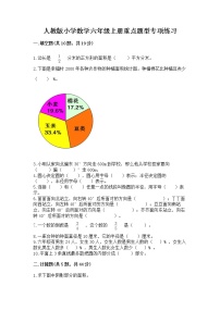 人教版小学数学六年级上册重点题型专项练习【全优】