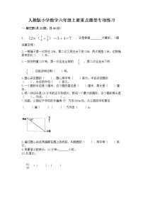 人教版小学数学六年级上册重点题型专项练习附答案【典型题】