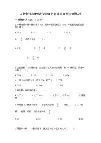 人教版小学数学六年级上册重点题型专项练习加答案（全国通用）