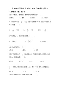 人教版小学数学六年级上册重点题型专项练习精品【达标题】