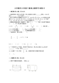 小学数学六年级下册重点题型专项练习（易错题）word版