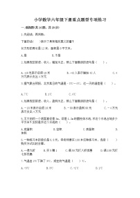 小学数学六年级下册重点题型专项练习（全国通用）