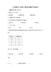 小学数学六年级下册重点题型专项练习及完整答案【易错题】