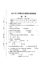 湖南省娄底市涟源市2021-2022学年第二学期五年级数学期末试卷