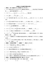 人教版六年级下册数学 小升初模拟（试题）5