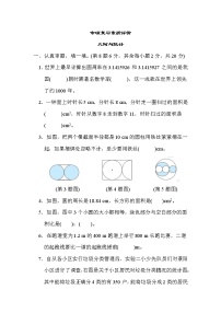 人教版六年级数学上册期末复习专题--几何与统计