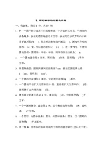 冀教版六年级数学上册期末复习知识核心考点---8. 圆的面积的计算及应用